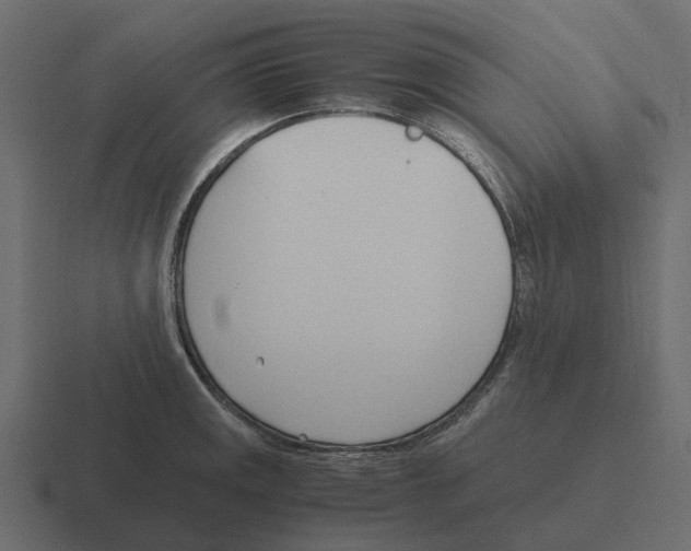 X0000116331141200912291548