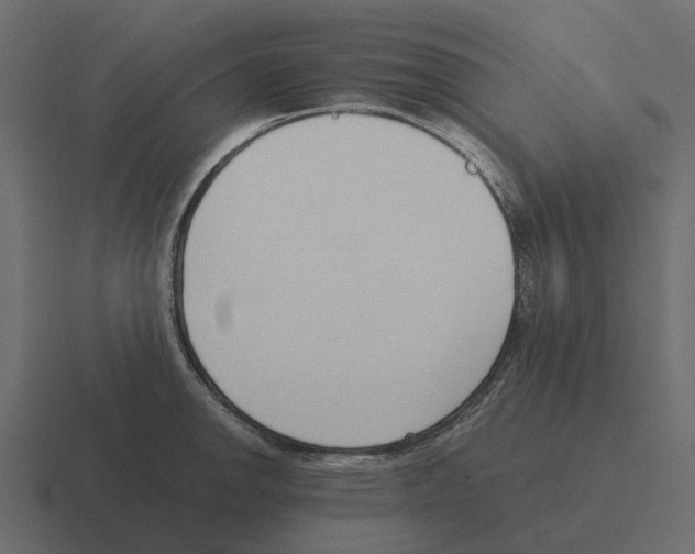 X0000116331142200912291548