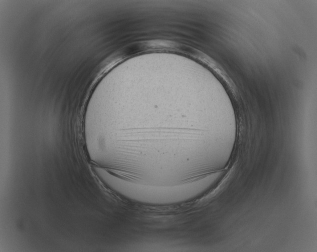 X0000116331145200912291548