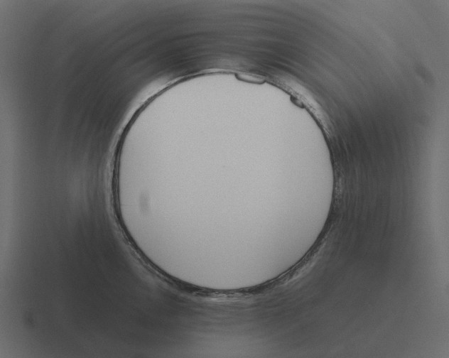 X0000116331146200912291548