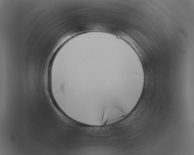 X0000116331147200912291548