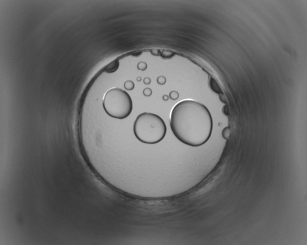 X0000116331149200912291548