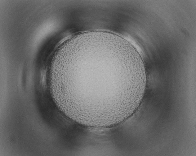 X0000116331150200912291548