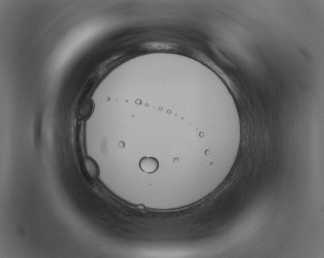 X0000116331151200912291548