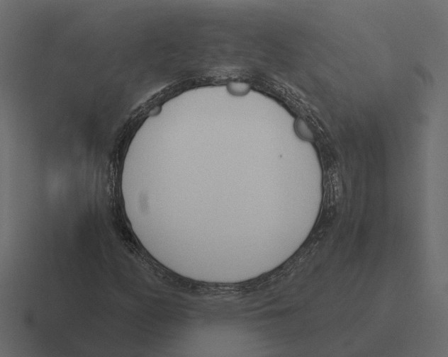 X0000116331158200912291547