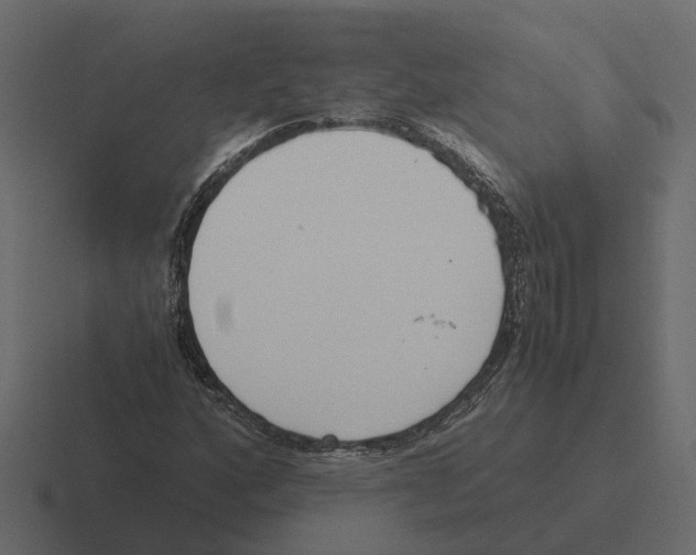 X0000116331160200912291547