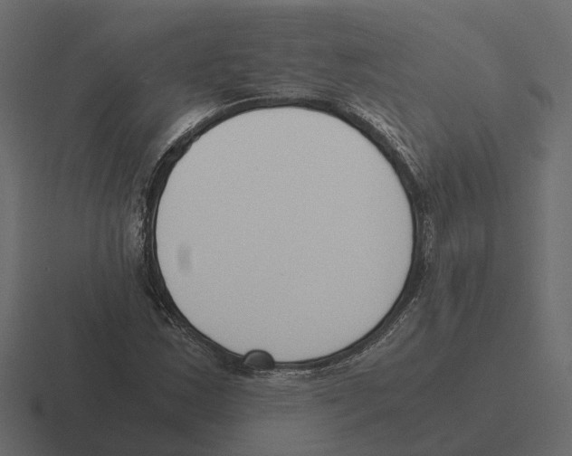 X0000116331163200912291547