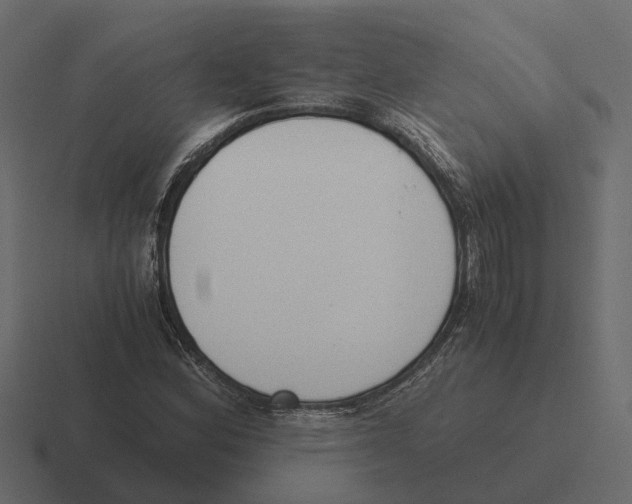 X0000116331164200912291547