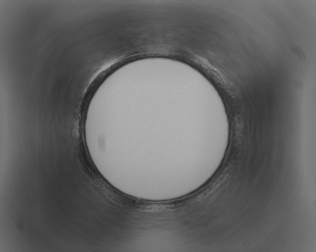 X0000116331166200912291547