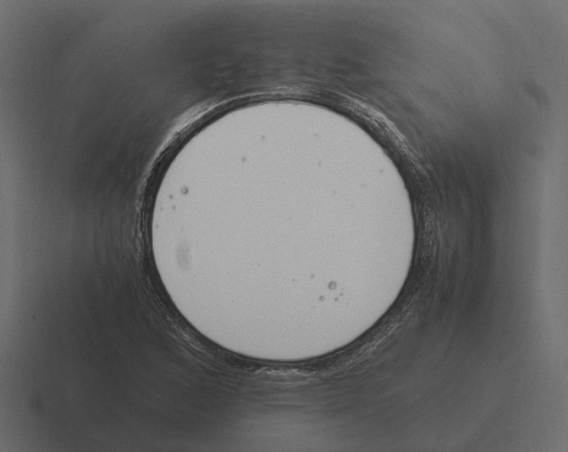 X0000116331168200912291547