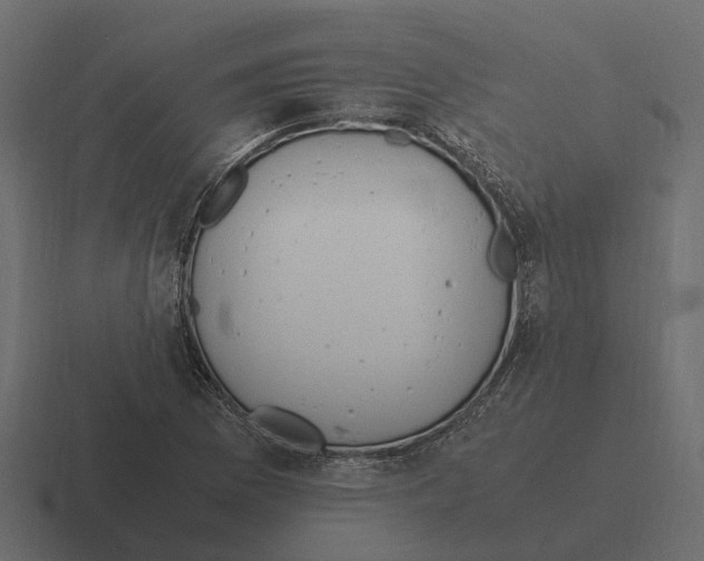 X0000116331169200912291547