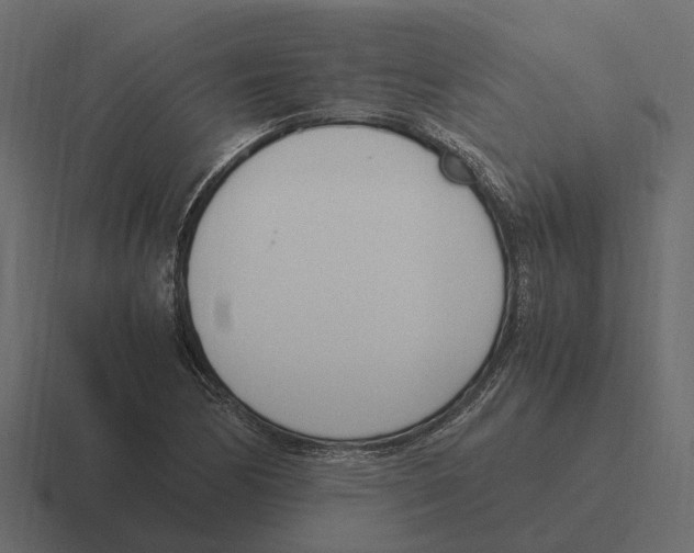 X0000116331170200912291547