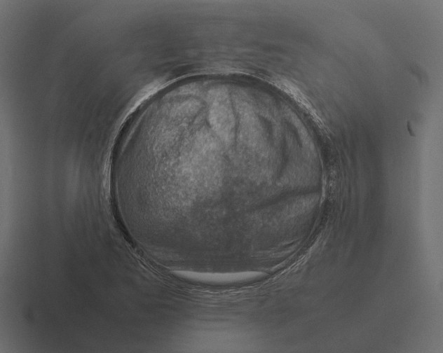 X0000116331173200912291547