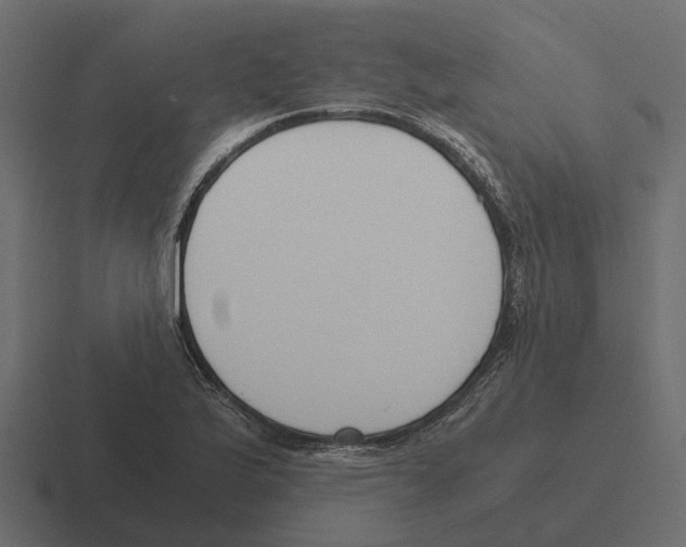 X0000116331175200912291547