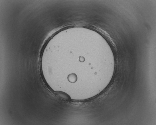 X0000116331176200912291547