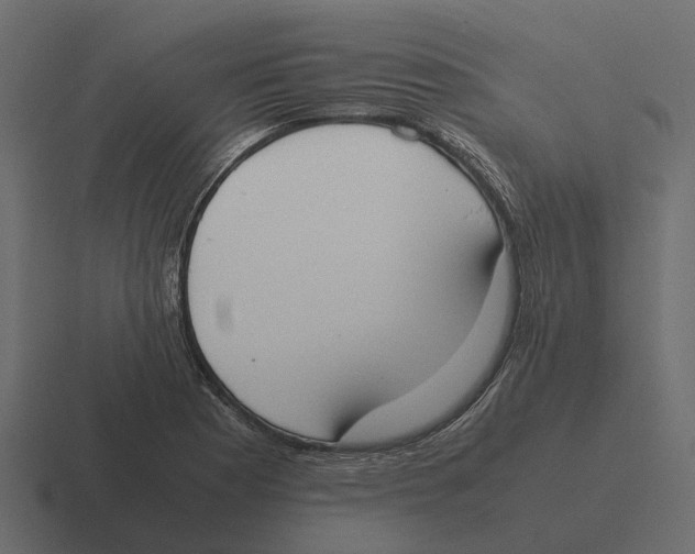 X0000116331177200912291547