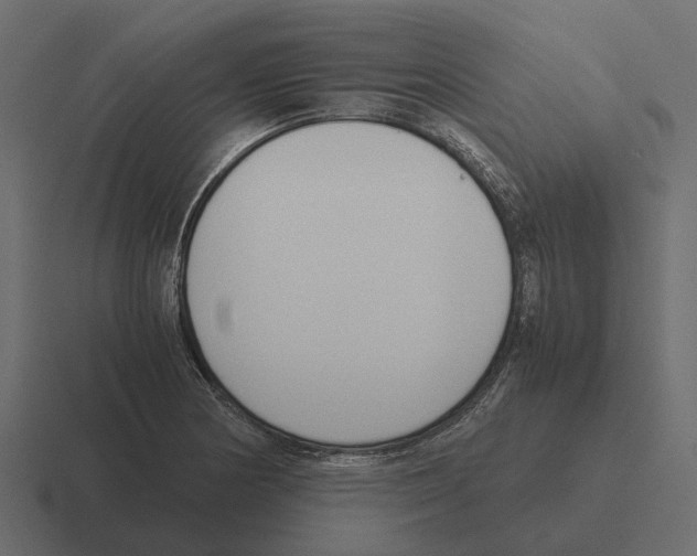 X0000116331178200912291547