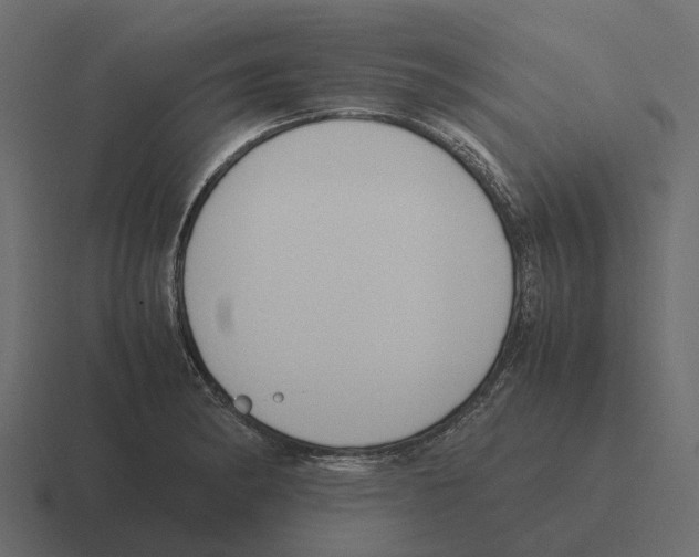 X0000116331182200912291547