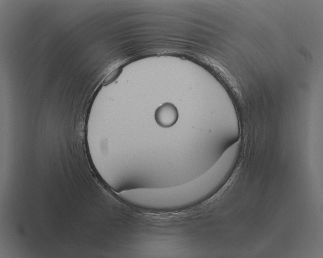 X0000116331185200912291547