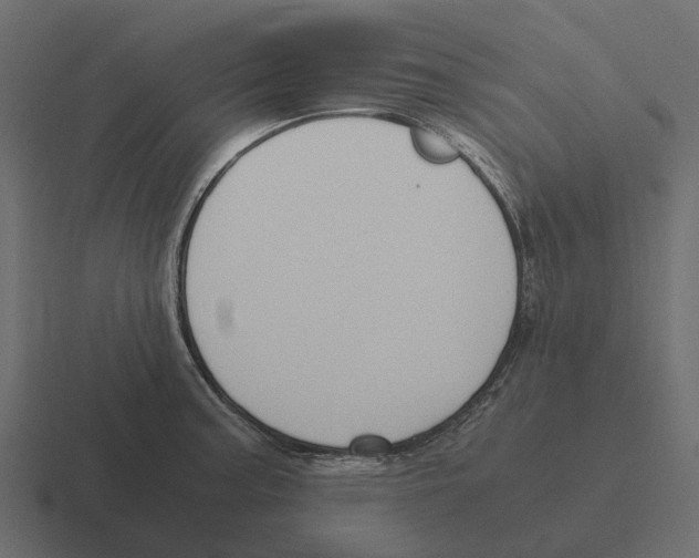 X0000116331187200912291547