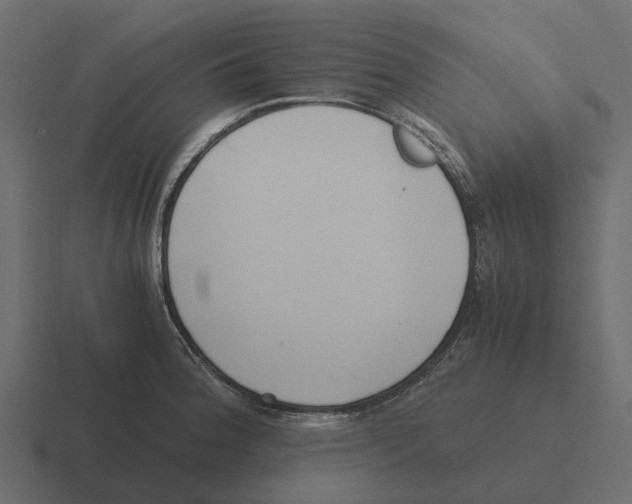 X0000116331188200912291547