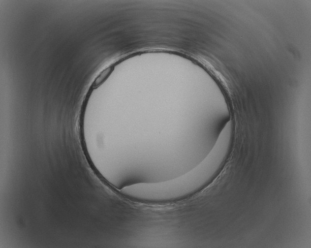 X0000116331189200912291547