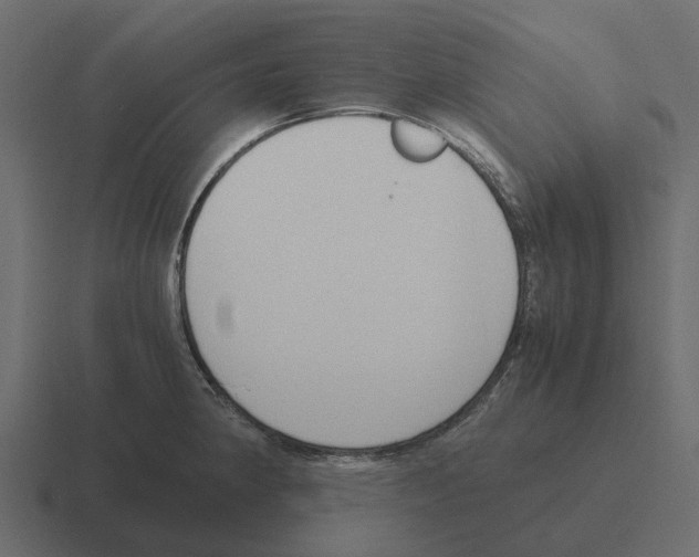 X0000116331190200912291547