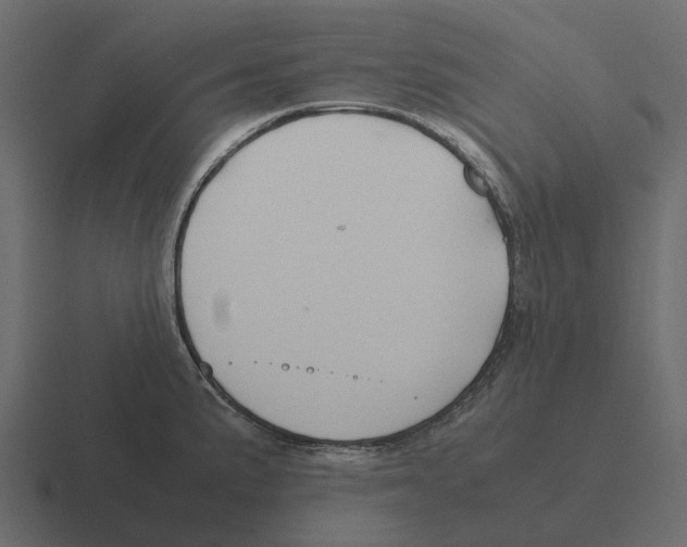 X0000116331191200912291547