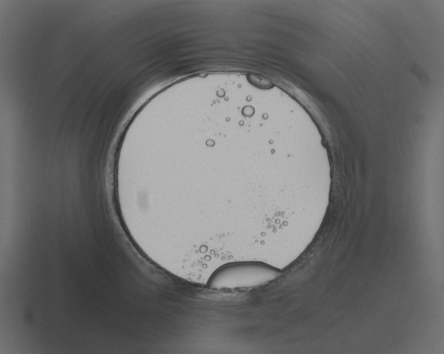 X0000116331195200912291547