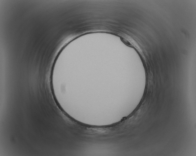 X0000116331197200912291547