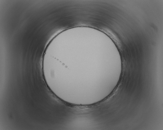 X0000116331198200912291546