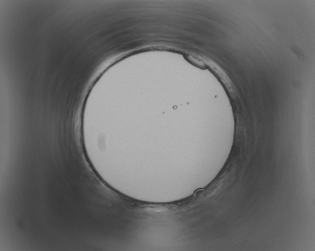 X0000116331199200912291546