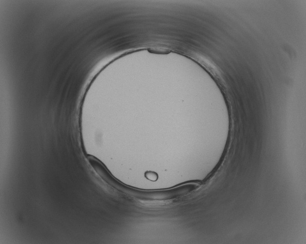 X0000116331200200912291546