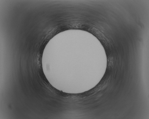 X0000116331202200912291546