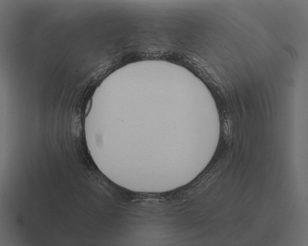 X0000116331204200912291546