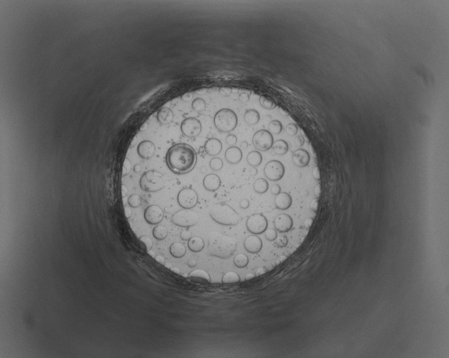 X0000116331205200912291546