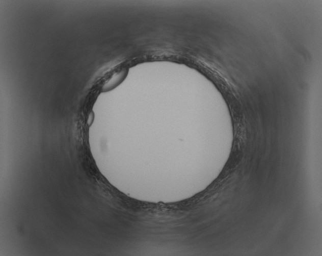 X0000116331207200912291546