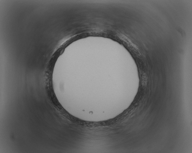 X0000116331208200912291546