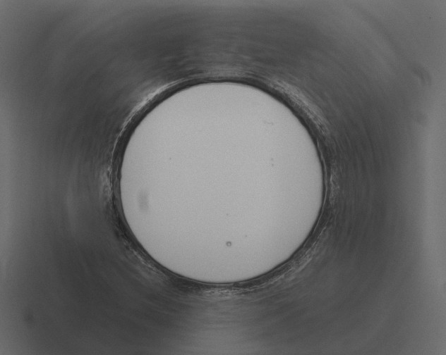 X0000116331212200912291546