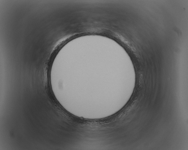 X0000116331214200912291546