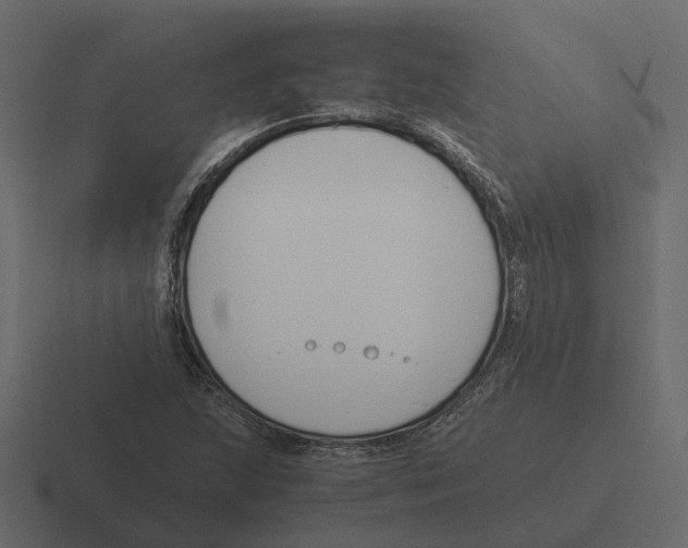 X0000116331215200912291546