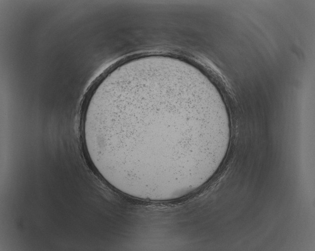 X0000116331216200912291546