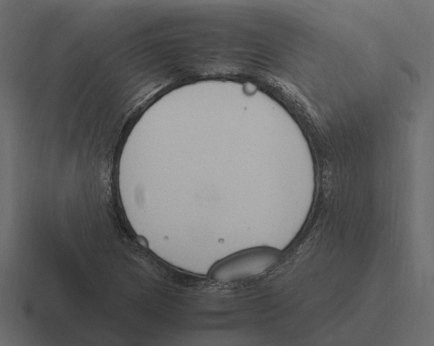 X0000116331217200912291546