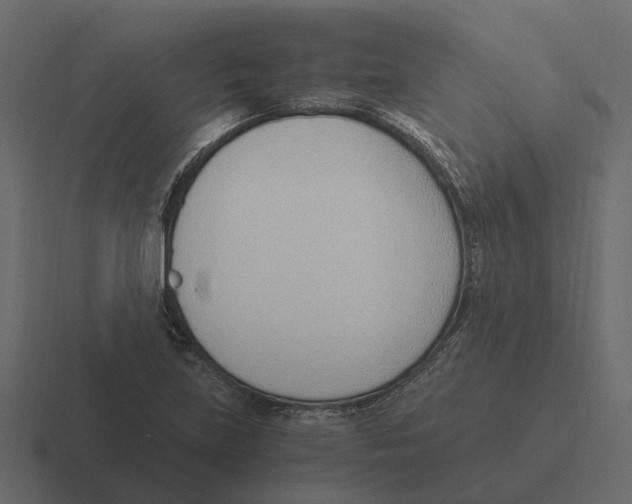 X0000116331219200912291546