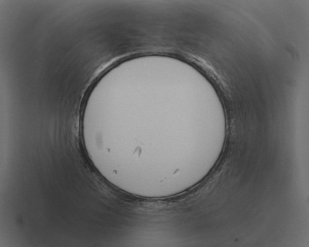 X0000116331220200912291546