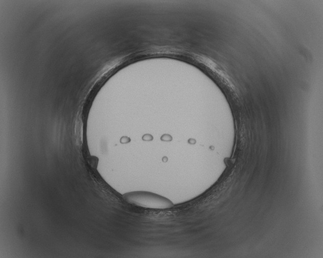 X0000116331221200912291546