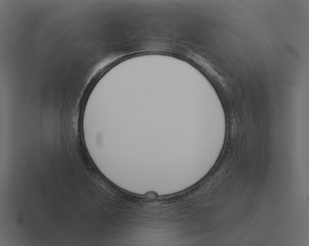 X0000116331222200912291546