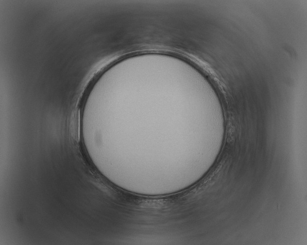 X0000116331223200912291546