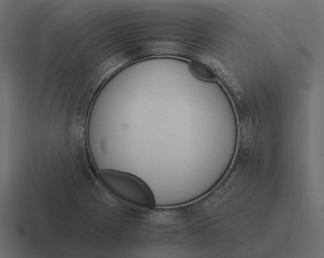 X0000116331225200912291546