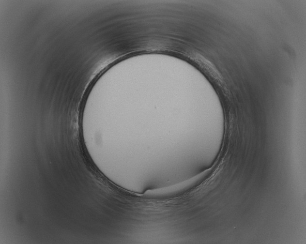 X0000116331226200912291546